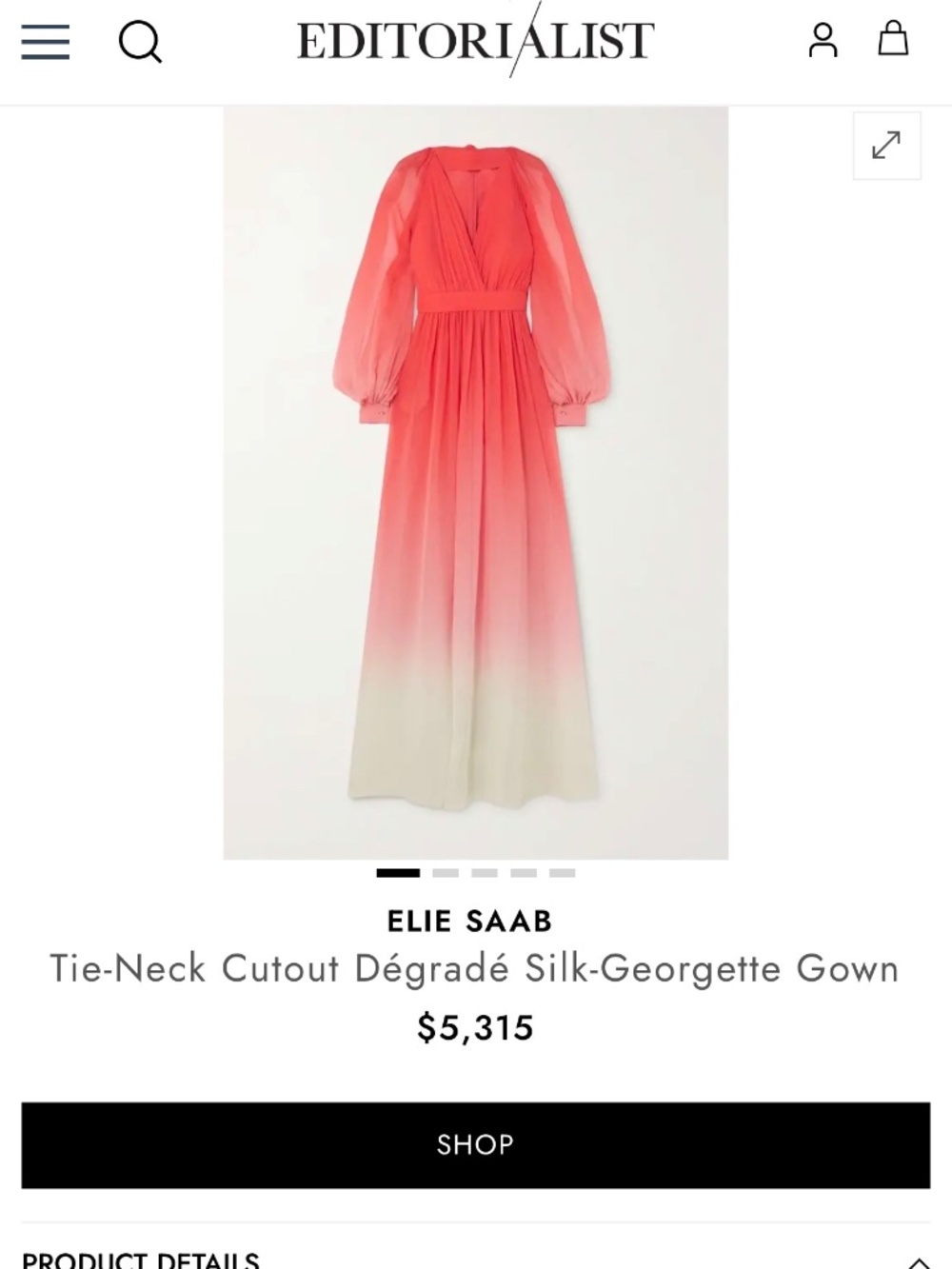 Elie Saab Tie-Neck Cutout Dégradé Silk-Georgette Gown